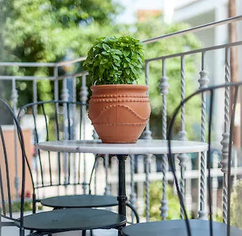 Villa Despina Green Suites Polychrono Apartment